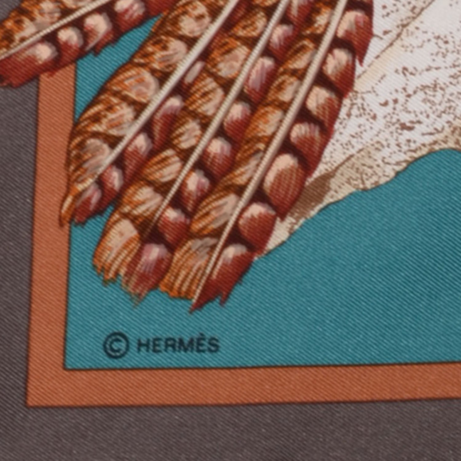 Hermes Silk Pani La Shar Pawnee Scarf 90 4 of 5