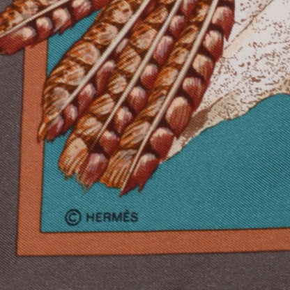 Hermes Silk Pani La Shar Pawnee Scarf 90 4 of 5