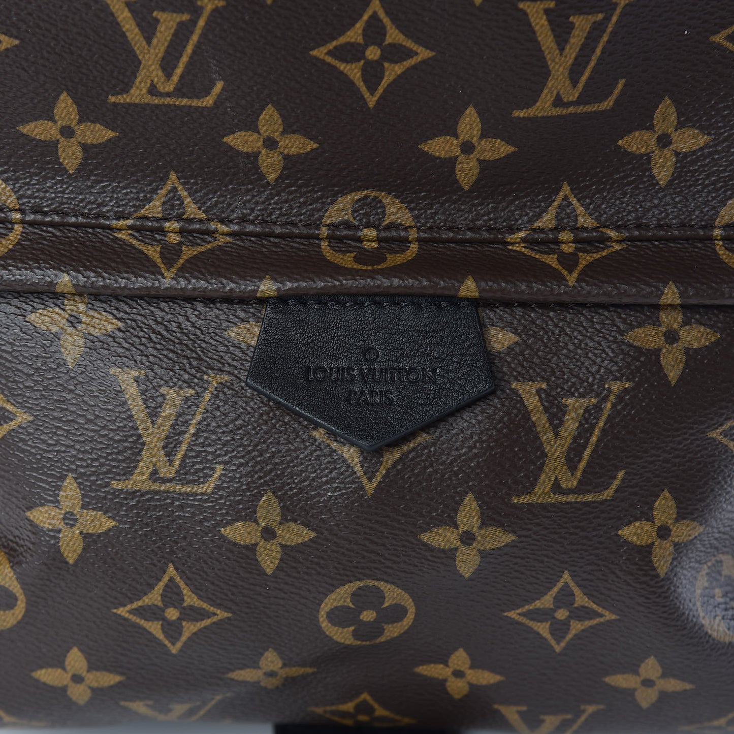 Monogram Palm Springs Backpack MM