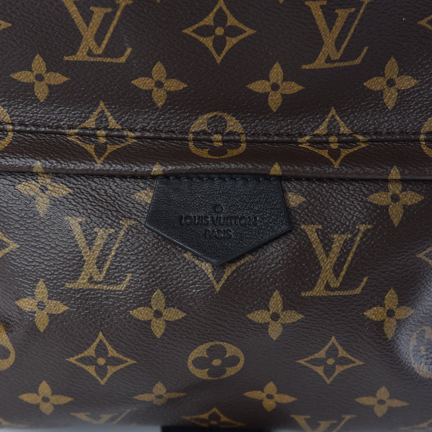 Louis Vuitton Monogram Palm Springs Backpack MM 10 of 10