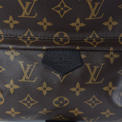 Louis Vuitton Monogram Palm Springs Backpack MM 10 of 10