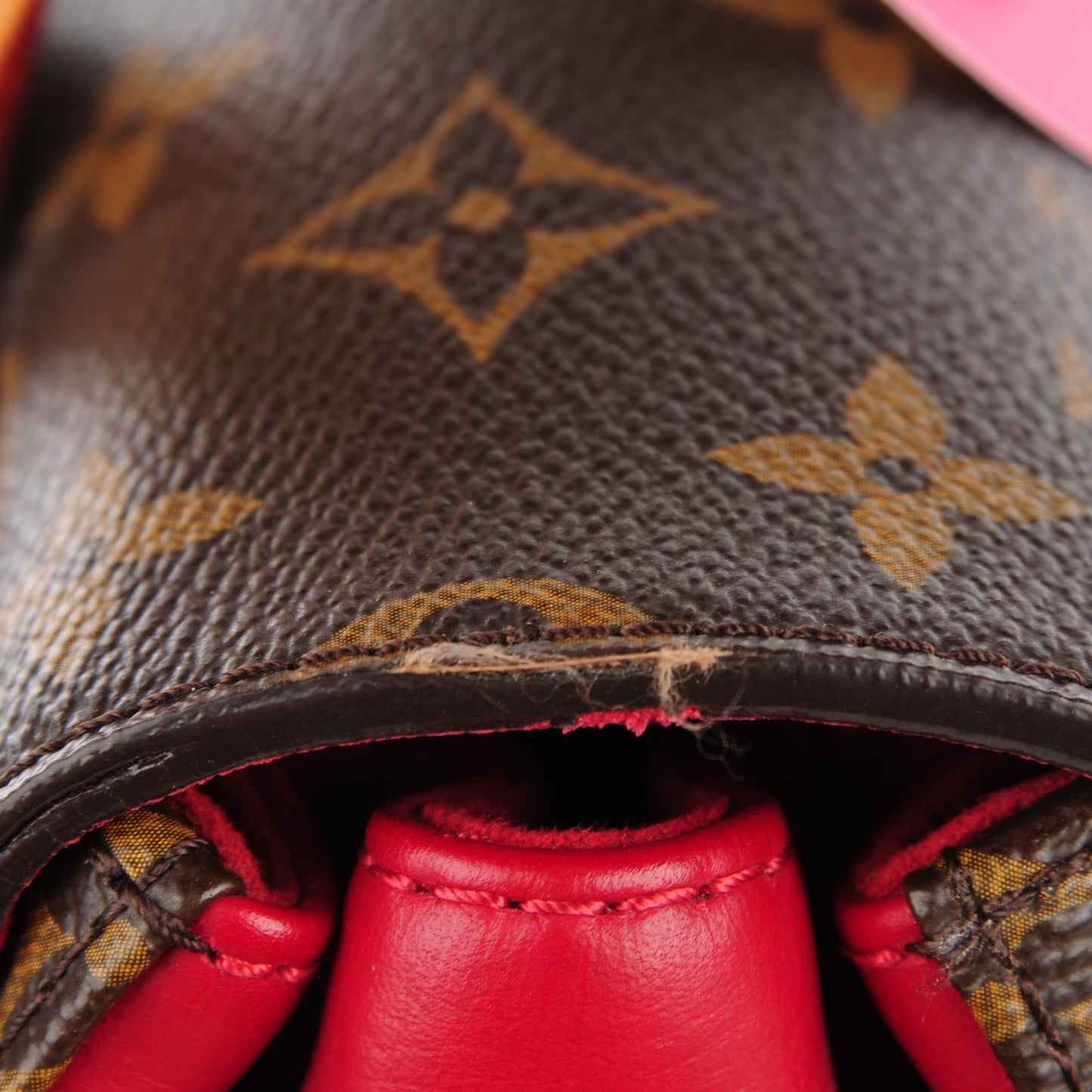 Monogram Eden MM Rouge