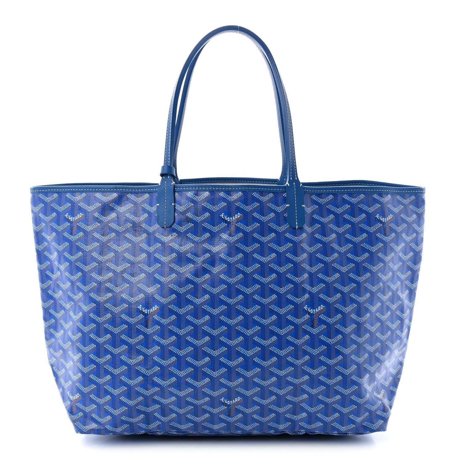 Goyard Goyardine Saint Louis PM Sky Blue 1 of 11