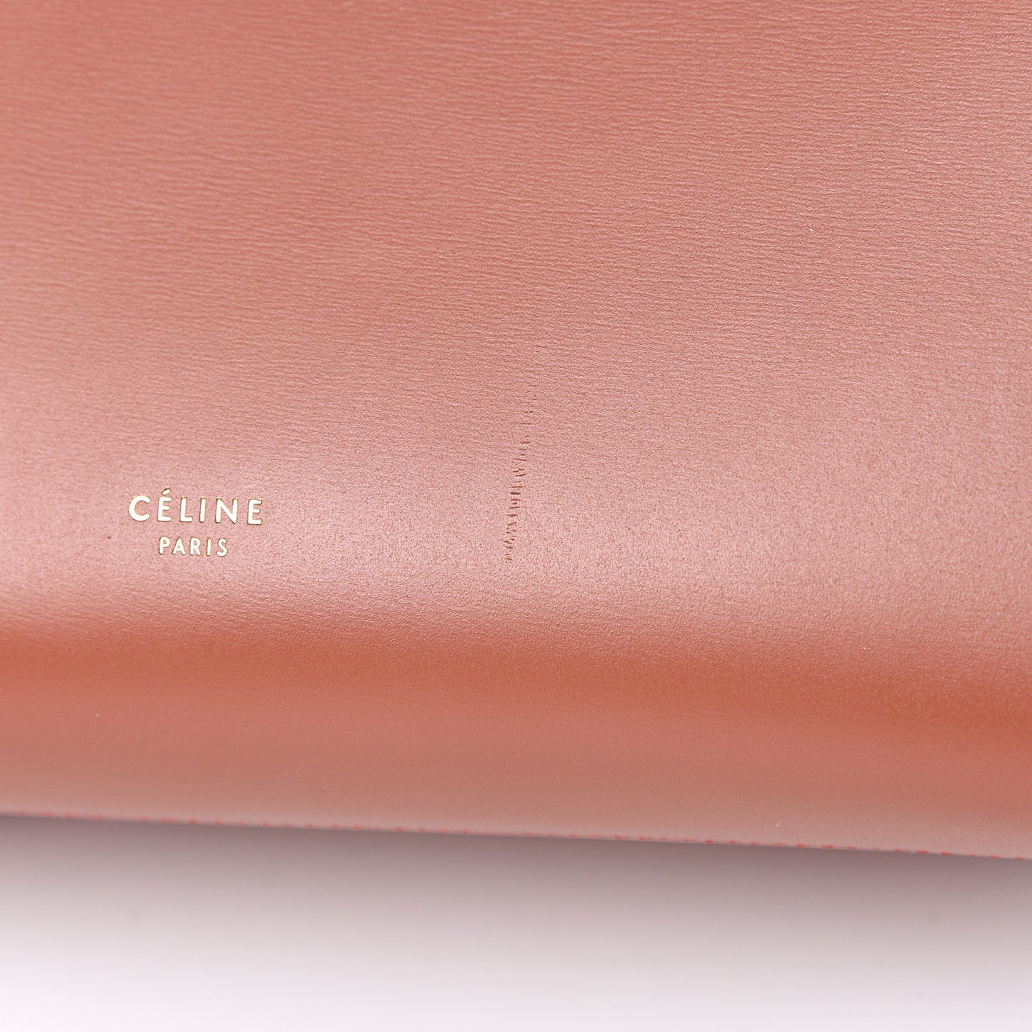 Smooth Calfskin Mini Belt Bag Terracotta