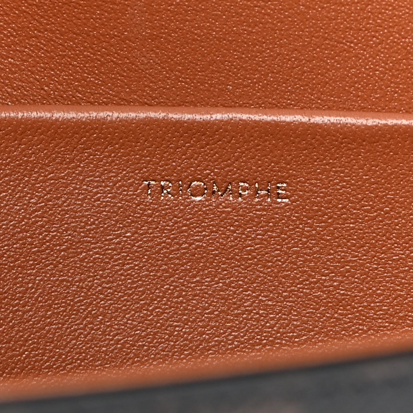 Canvas Calfskin Triomphe Shoulder Bag Tan