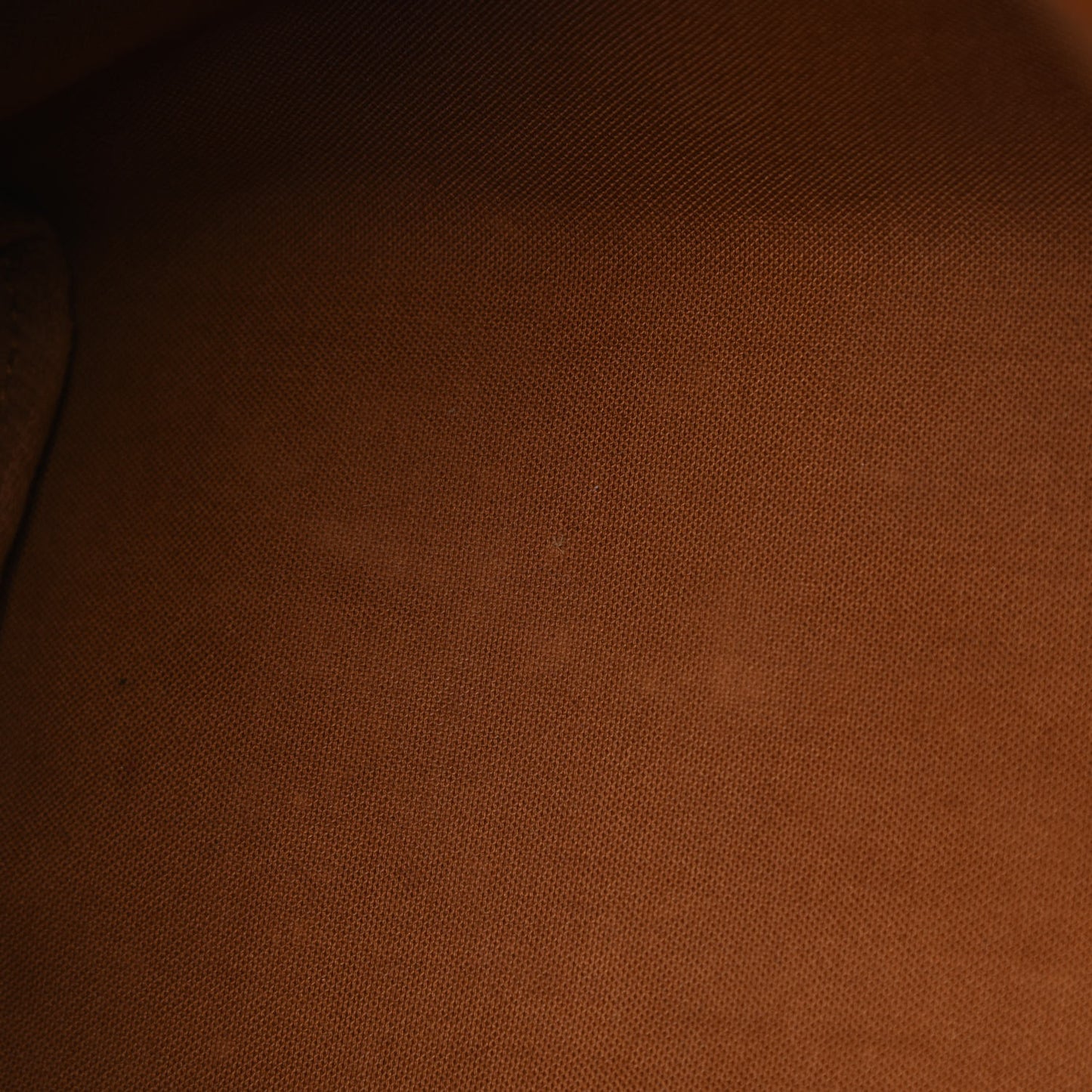 Monogram Roses Speedy 30