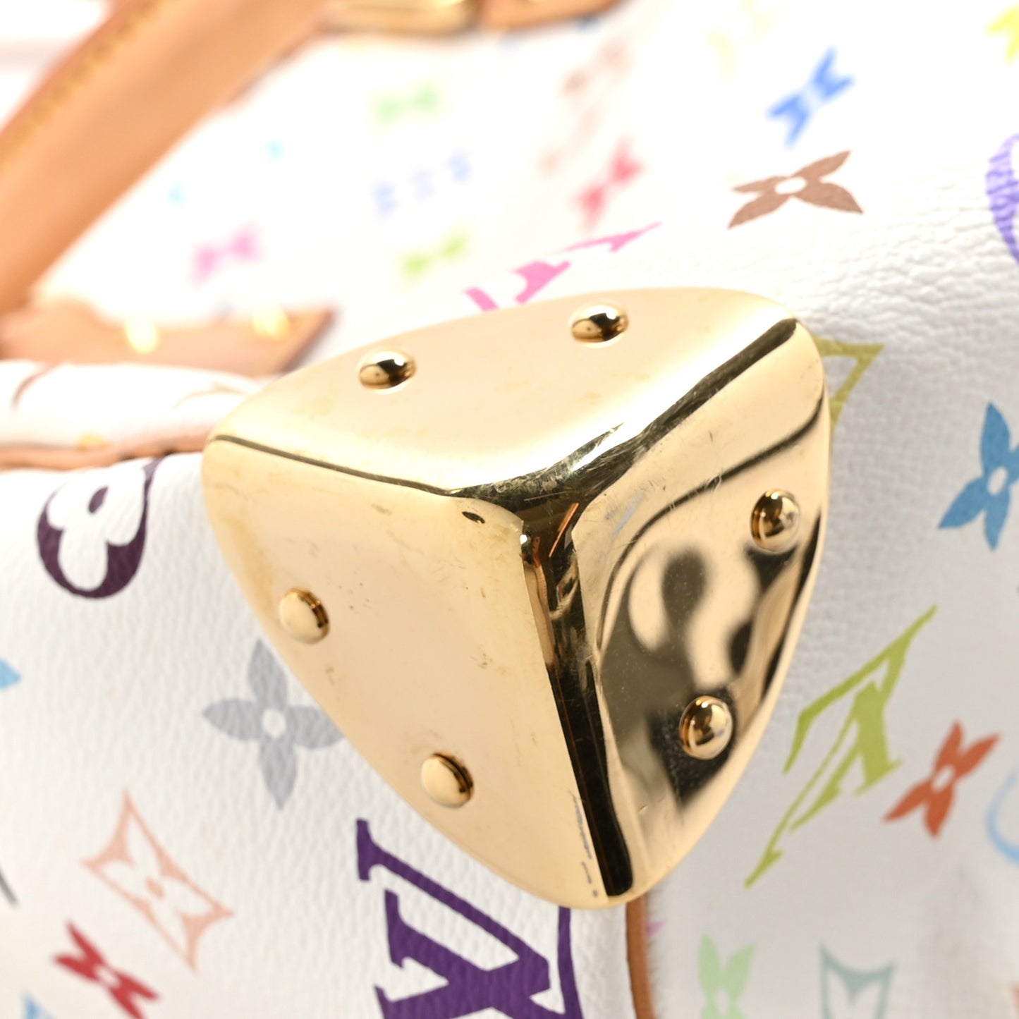 Monogram Multicolor Speedy 30 White