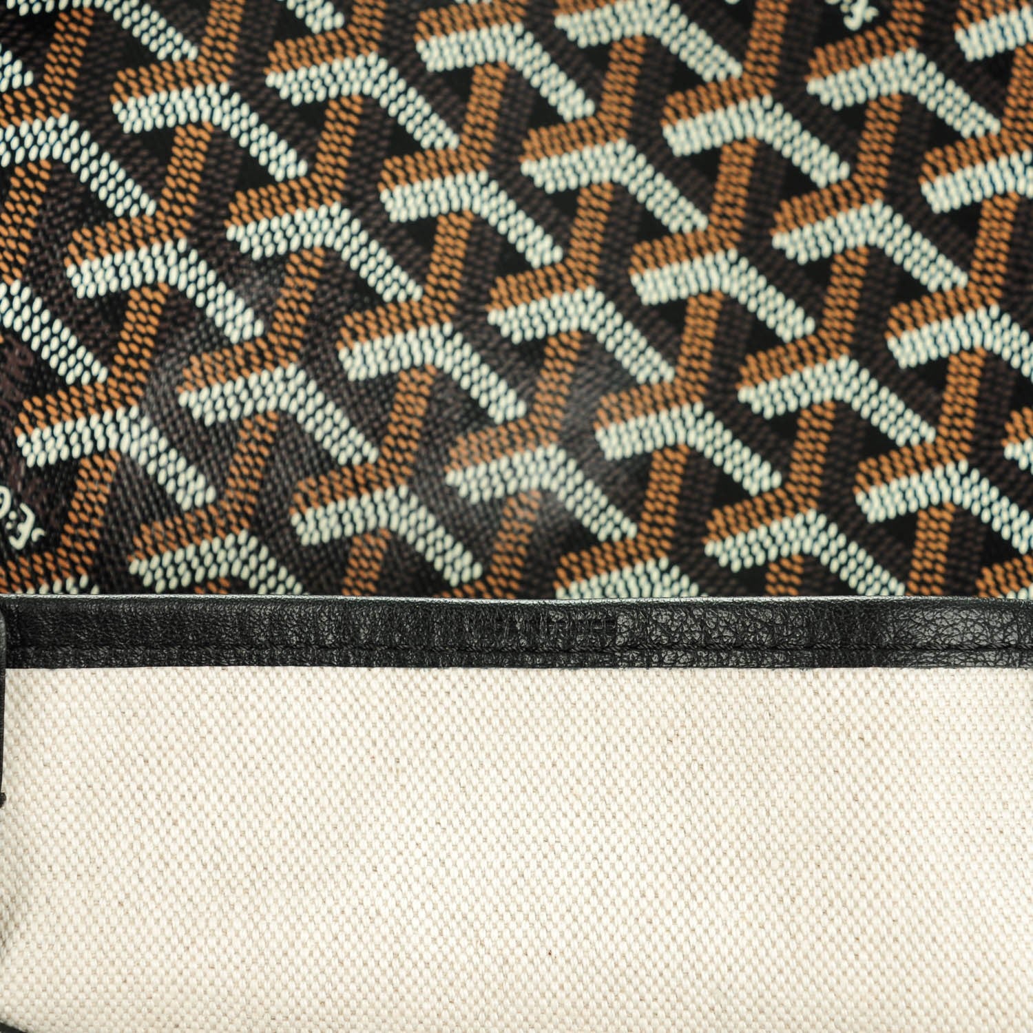 Goyard Goyardine Saint Louis PM Black 7 of 9