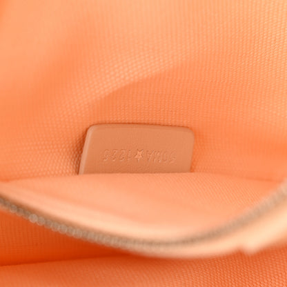 Christian Dior Oblique Embroidered Lace Dior Madame Bovary Small Book Tote With Strap Beige Red 7 of 11