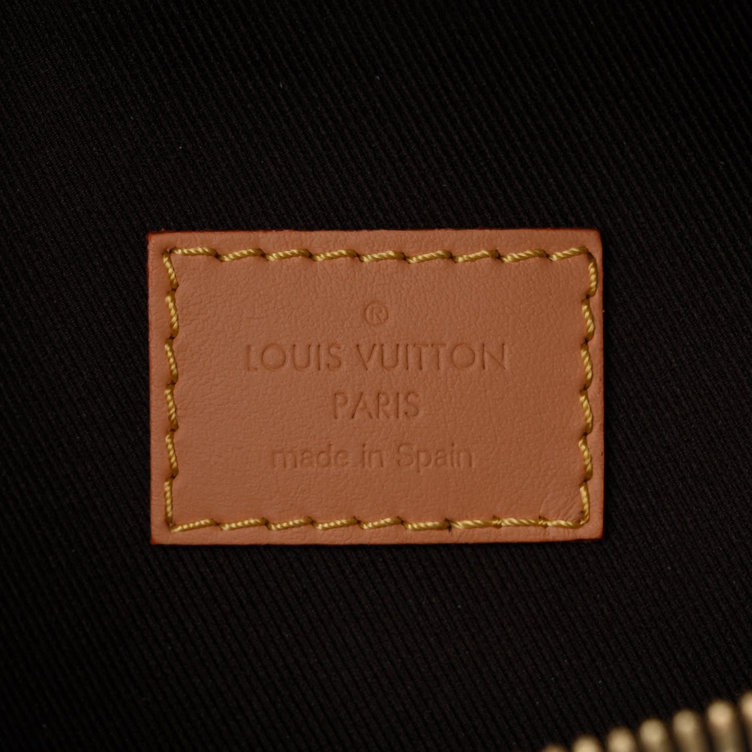 Louis Vuitton X TYLER THE CREATOR Monogram Craggy Rush Bumbag 6 of 10