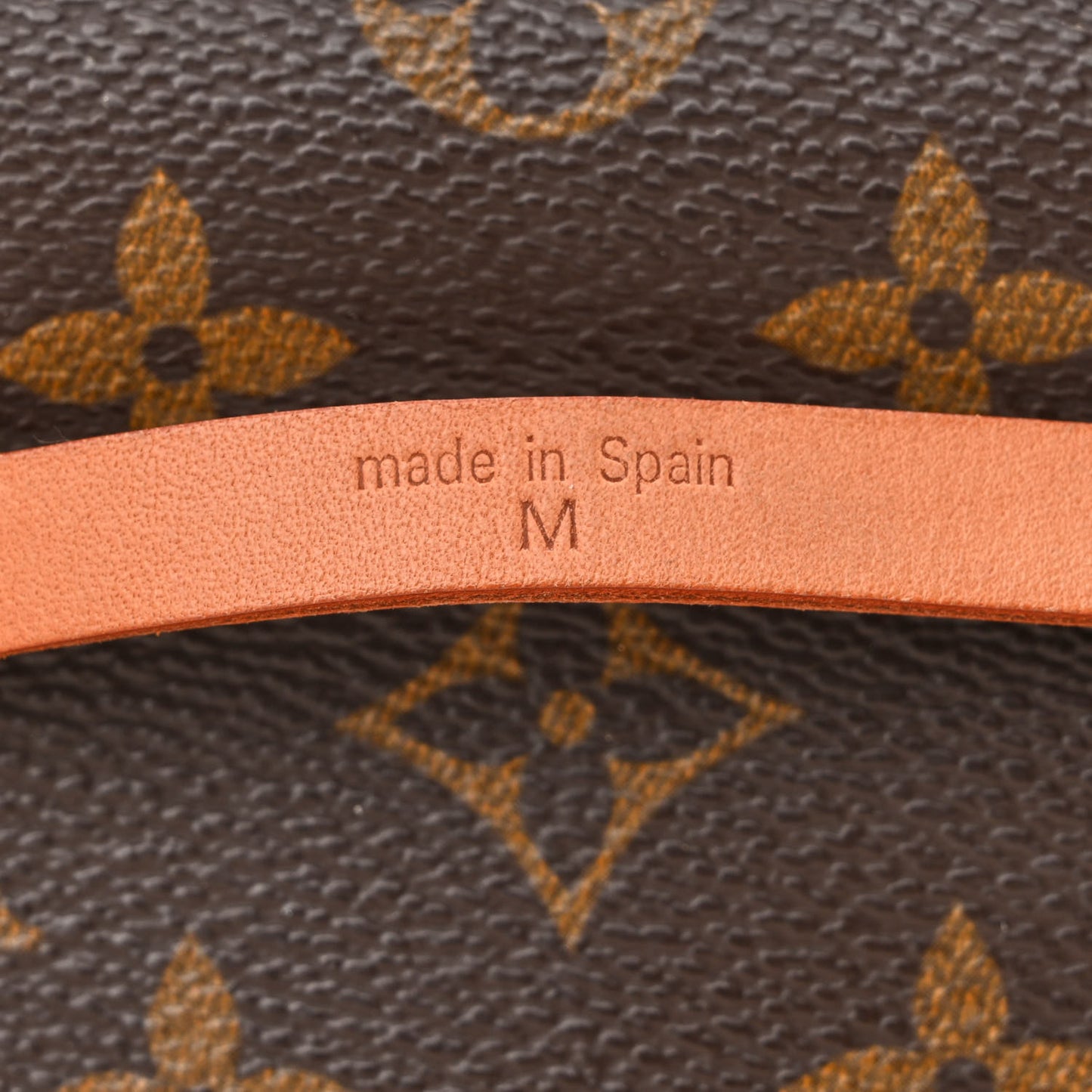 Monogram Pochette Florentine XS
