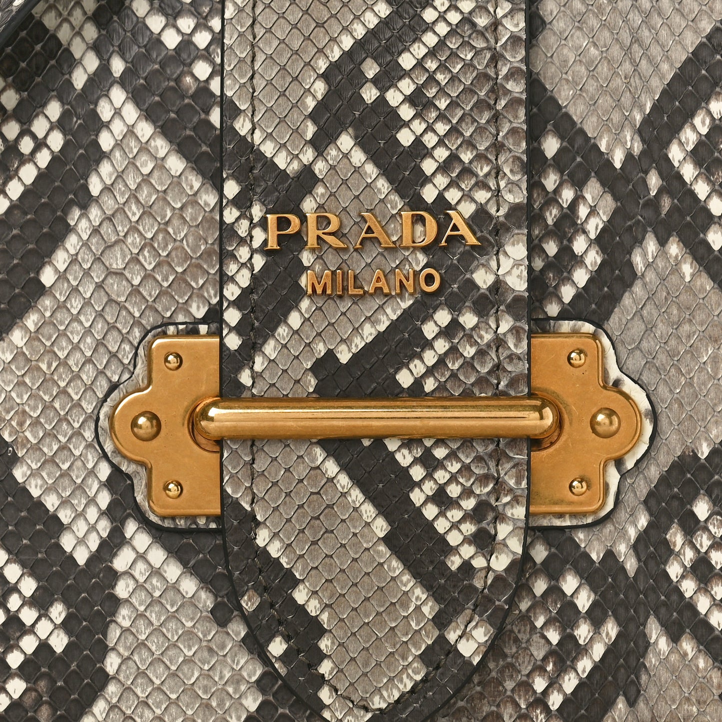 Snakeskin Cahier Bag Roccia