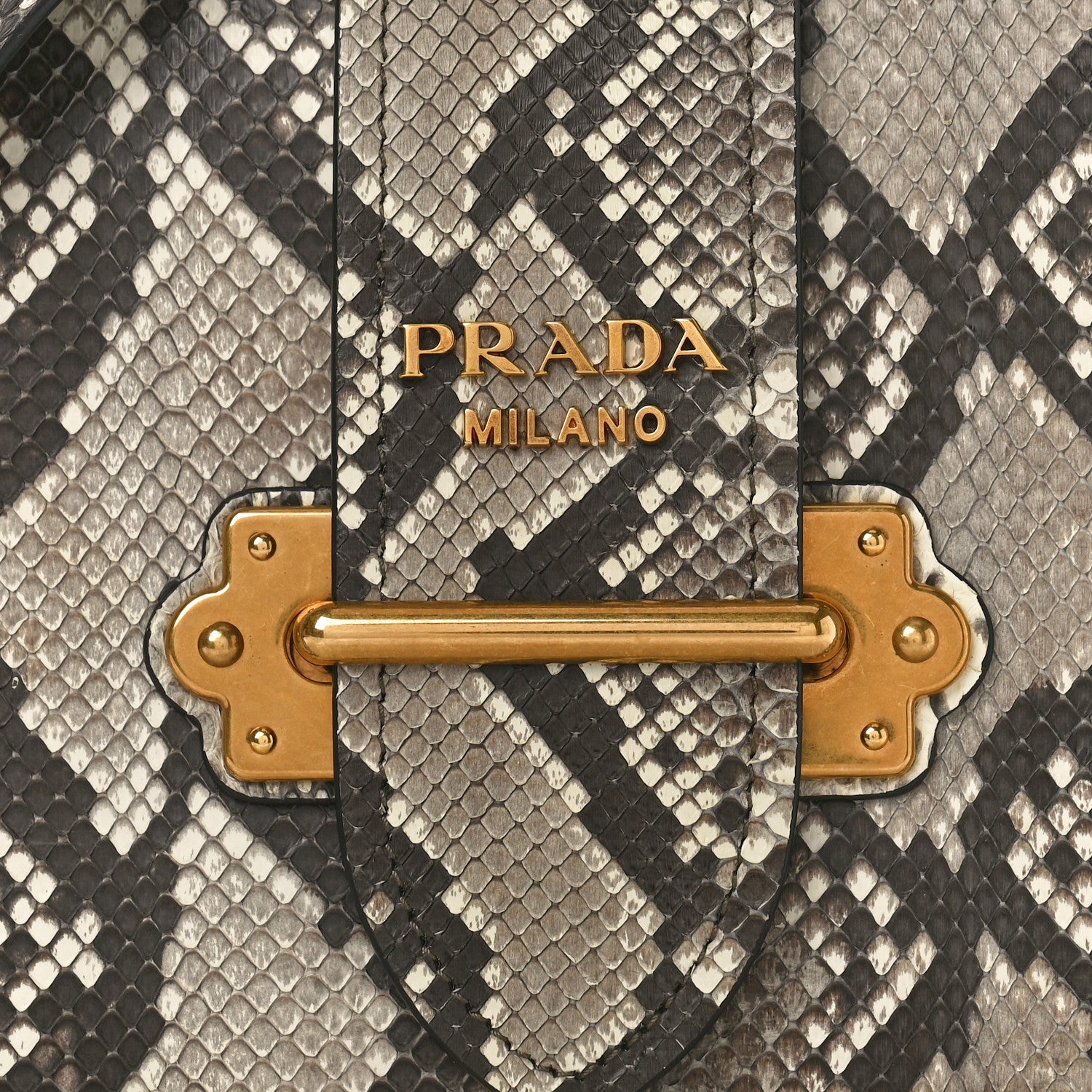 Prada Snakeskin Cahier Bag Roccia 7 of 10