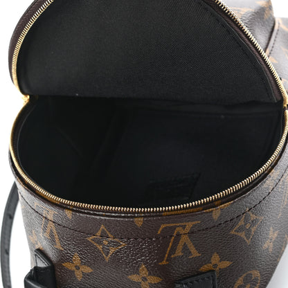 Louis Vuitton Monogram Palm Springs Backpack Mini 4 of 4