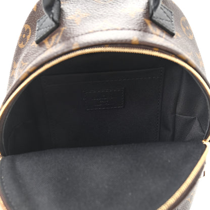 Louis Vuitton Monogram Palm Springs Backpack Mini 5 of 9