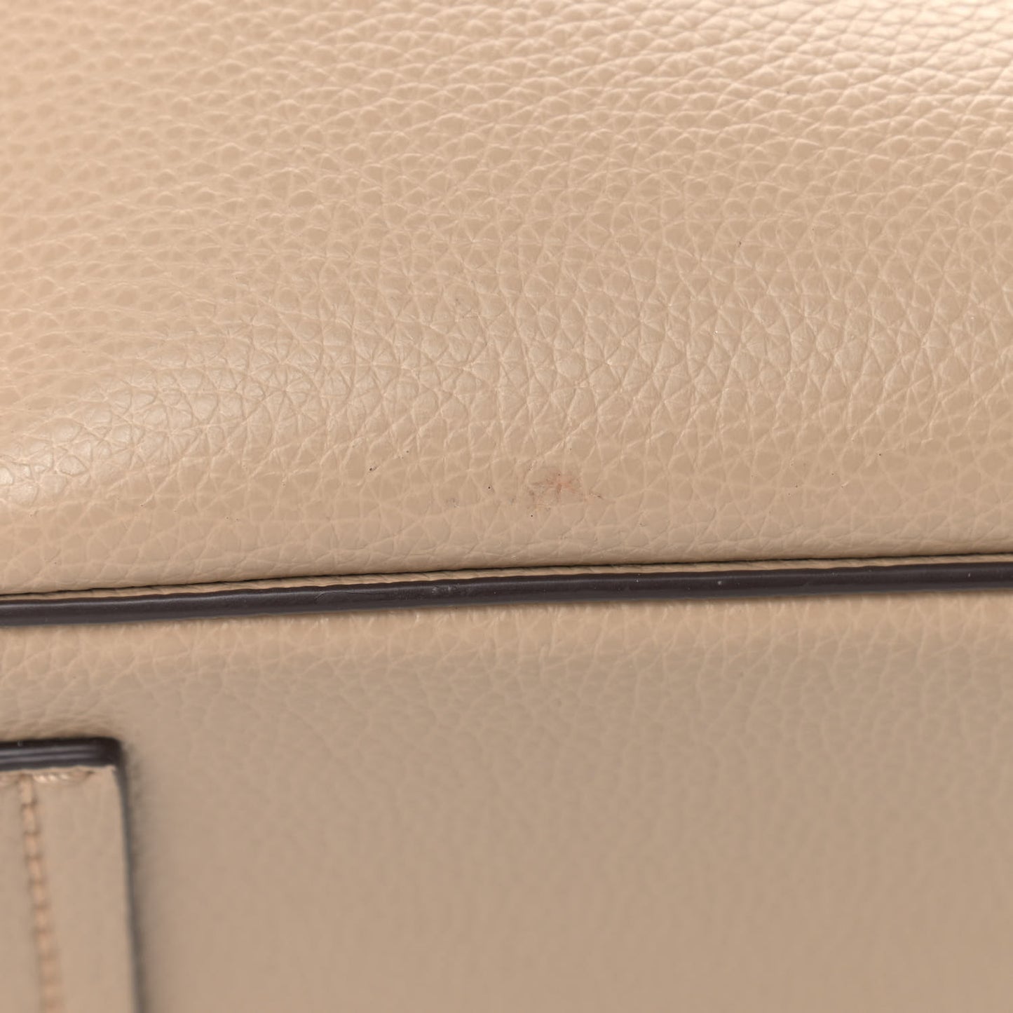 Pebbled Calfskin Editor Shopping Tote Beige