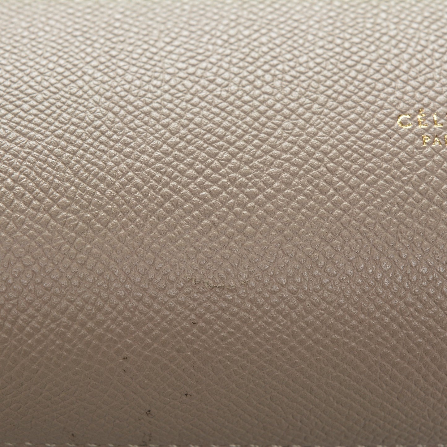 Grained Calfskin Mini Belt Bag Light Taupe