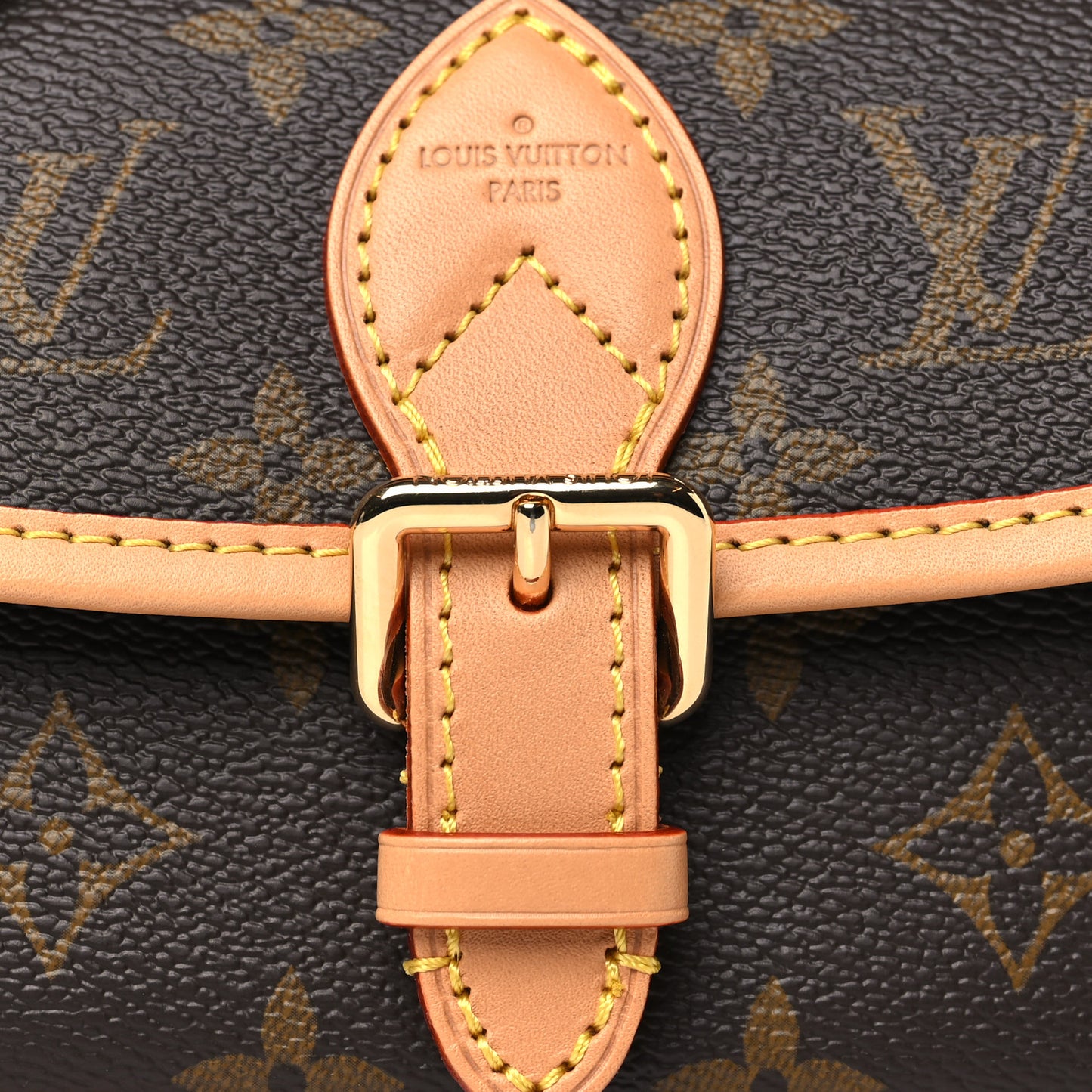 Monogram Nano Diane