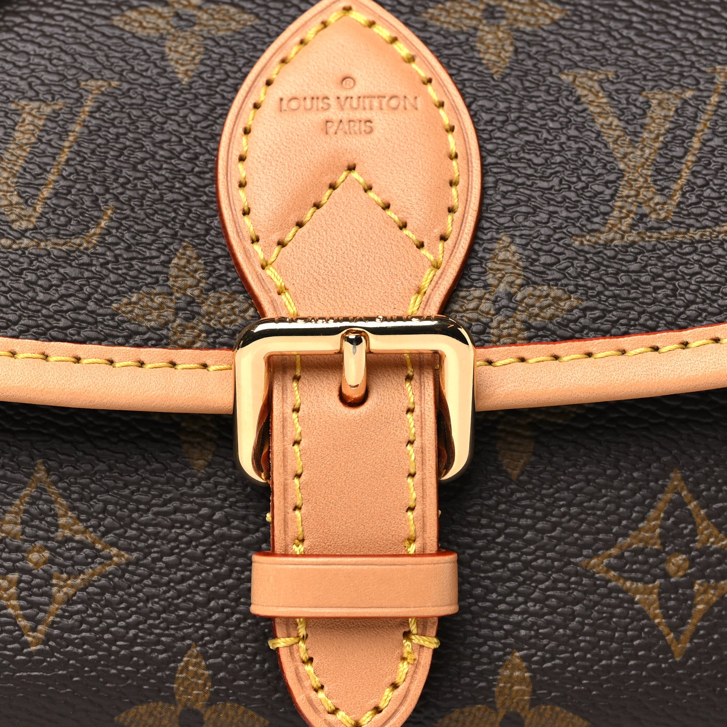 Louis Vuitton Monogram Nano Diane 7 of 9
