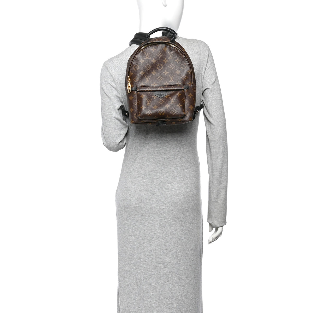 Monogram Palm Springs Backpack PM