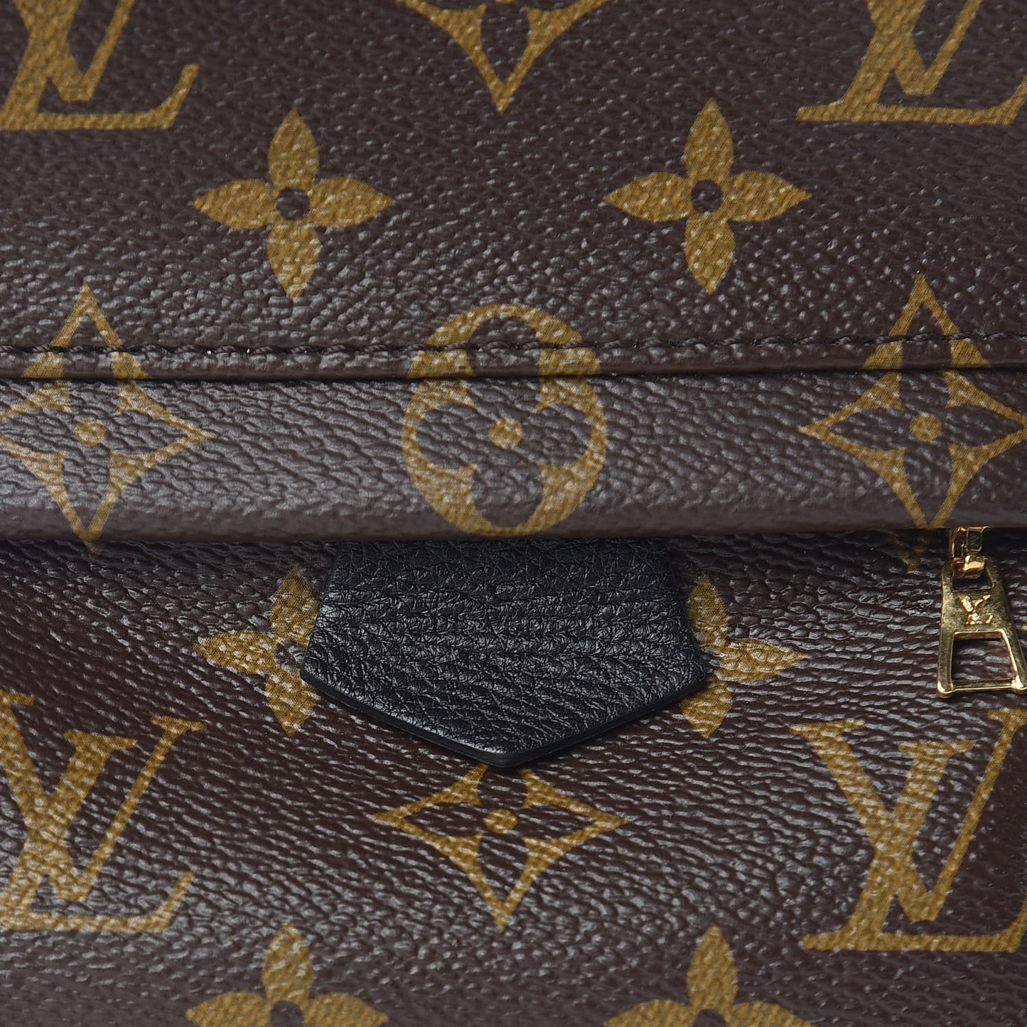 Monogram Palm Springs Backpack Mini