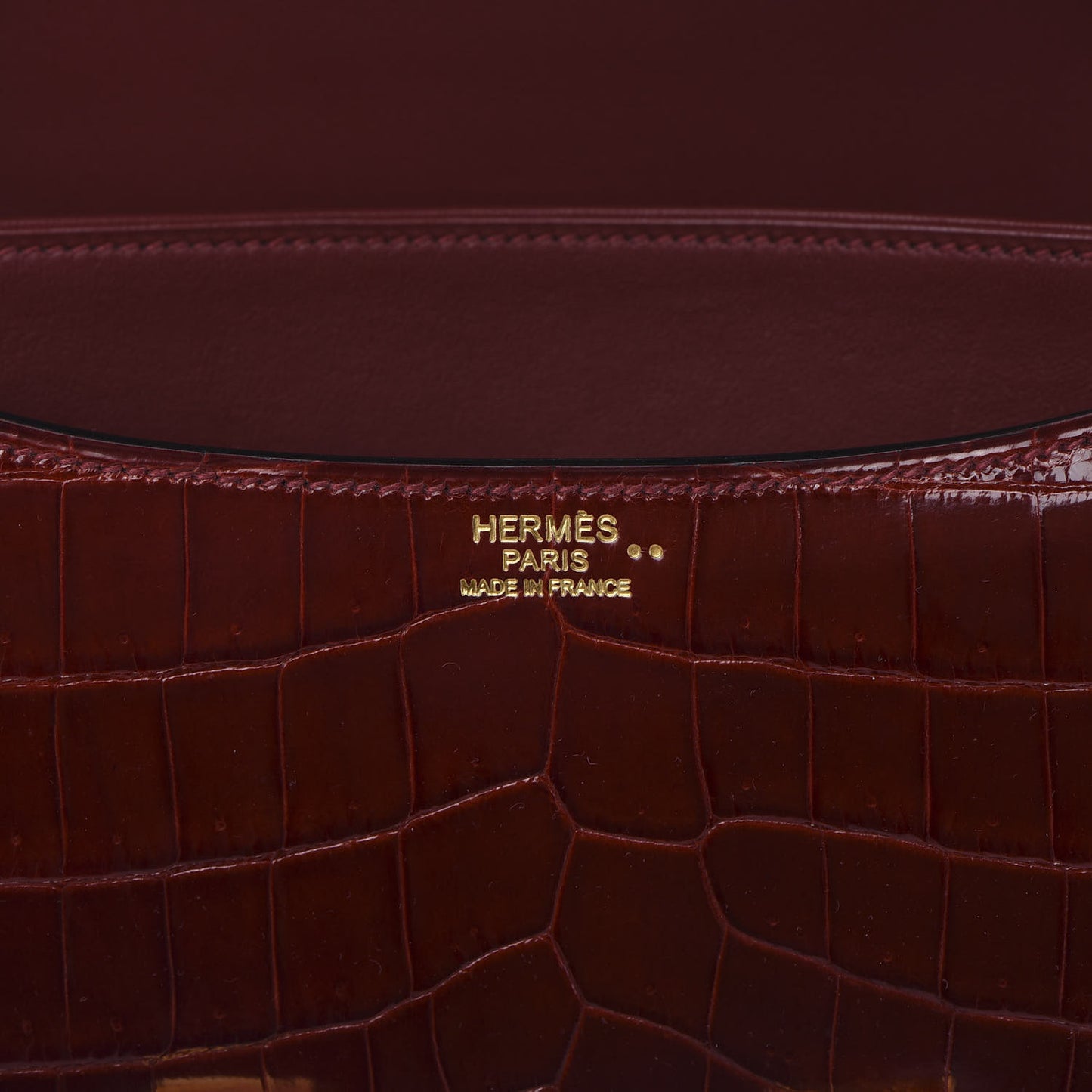 Shiny Niloticus Crocodile Lizard Marquette Constance 24 Rouge H