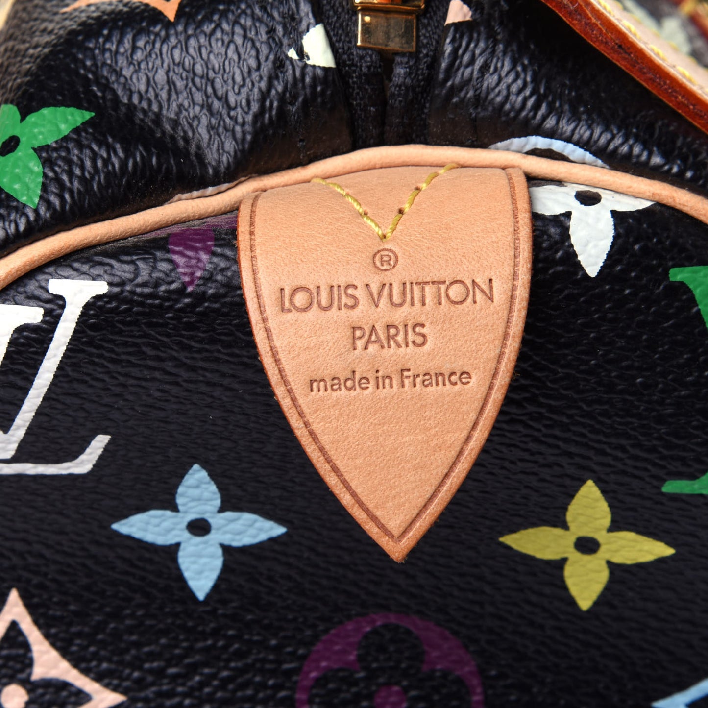 Monogram Multicolor Speedy 30 Black