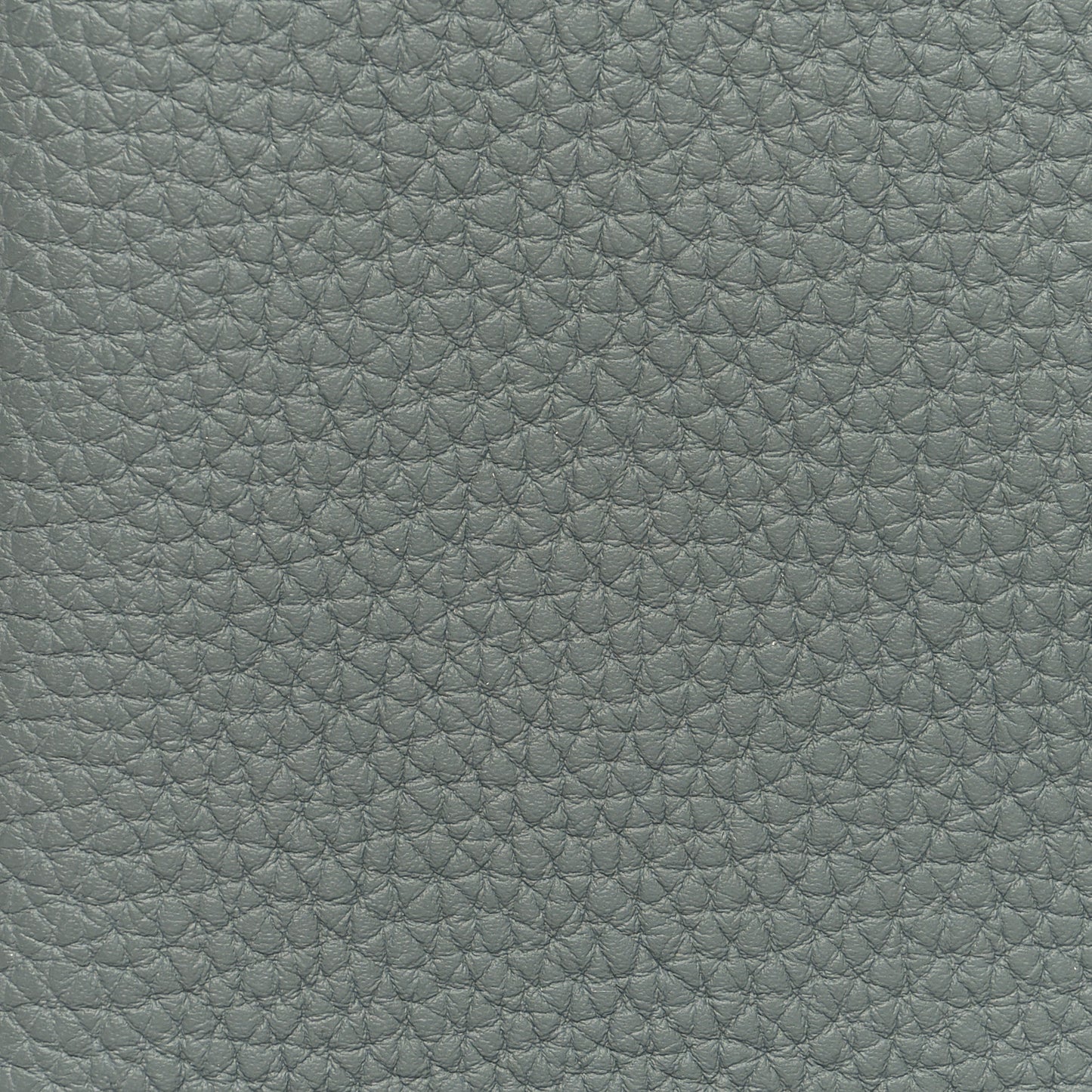 Togo Ulysse Mini Notebook Cover Vert Amande