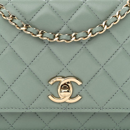 Chanel Lambskin Quilted Trendy CC Wallet On Chain WOC Grey 9 of 13