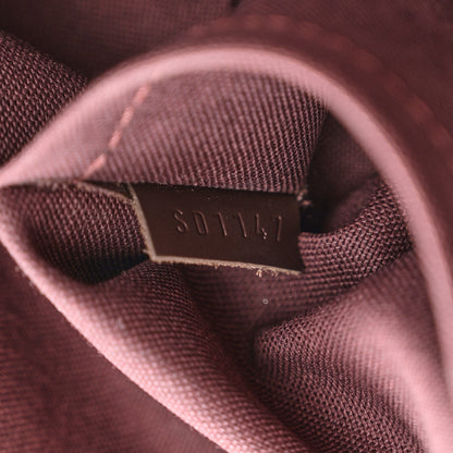 Louis Vuitton Damier Ebene Iena MM 8 of 11
