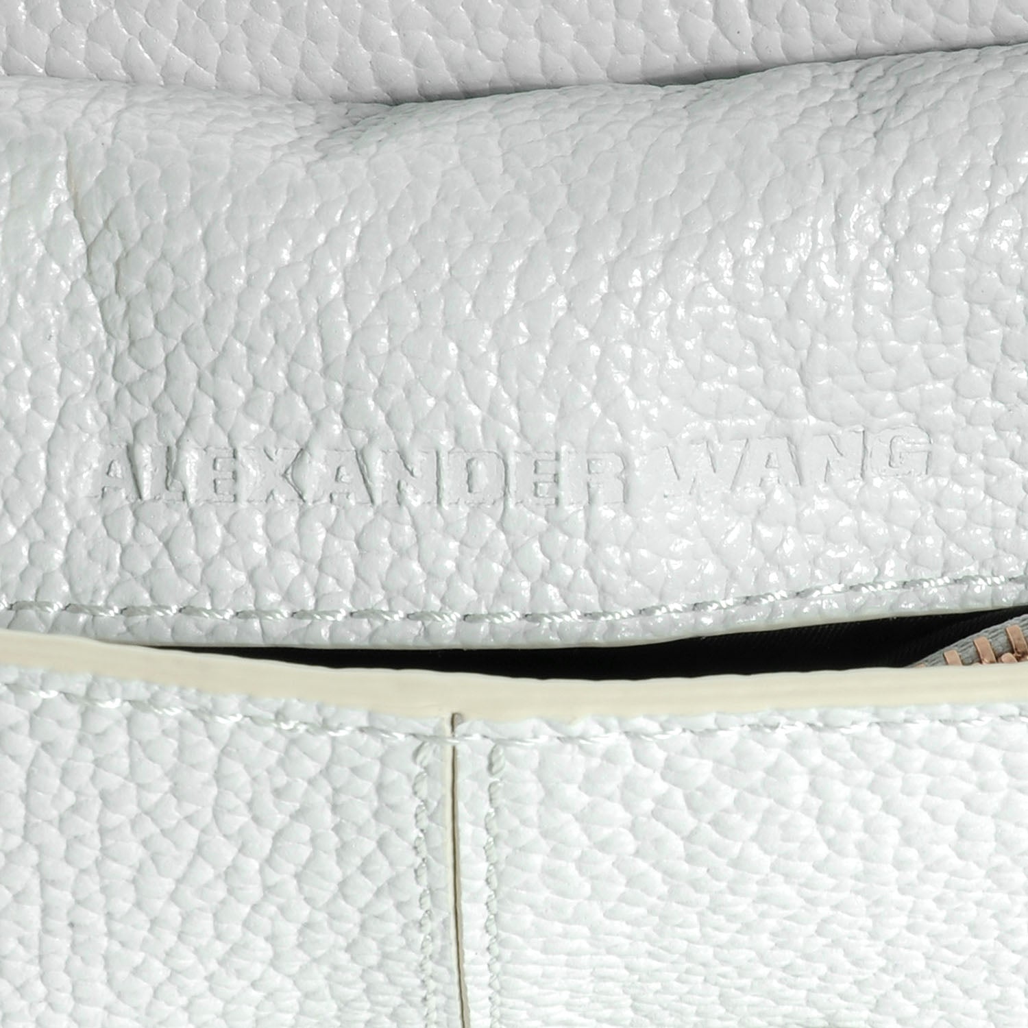 Alexander Wang Pebbled Leather Marion Mini Flap Plaster 6 of 6