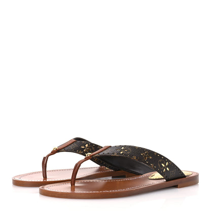 Louis Vuitton Monogram Sunny Flat Thong Sandals 36 Brown 4 of 13