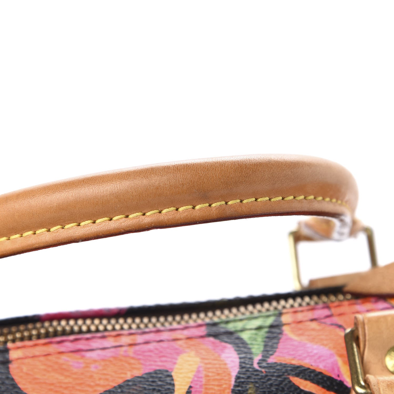 Louis Vuitton Monogram Roses Speedy 30 8 of 12