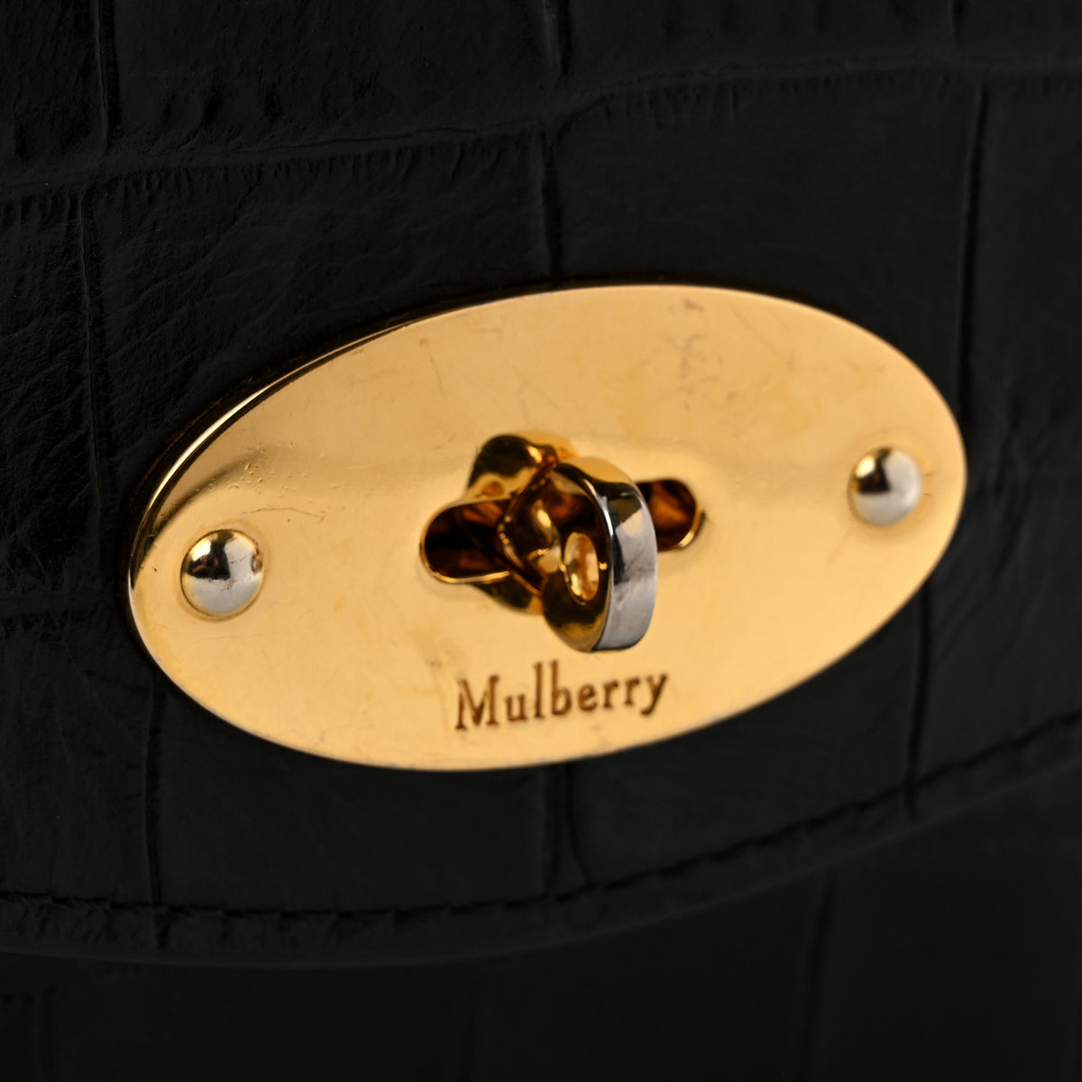 Crocodile Embossed Calfskin Small Darley Black