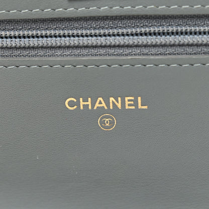 Chanel Snakeskin Wallet On Chain WOC Light Blue 6 of 13