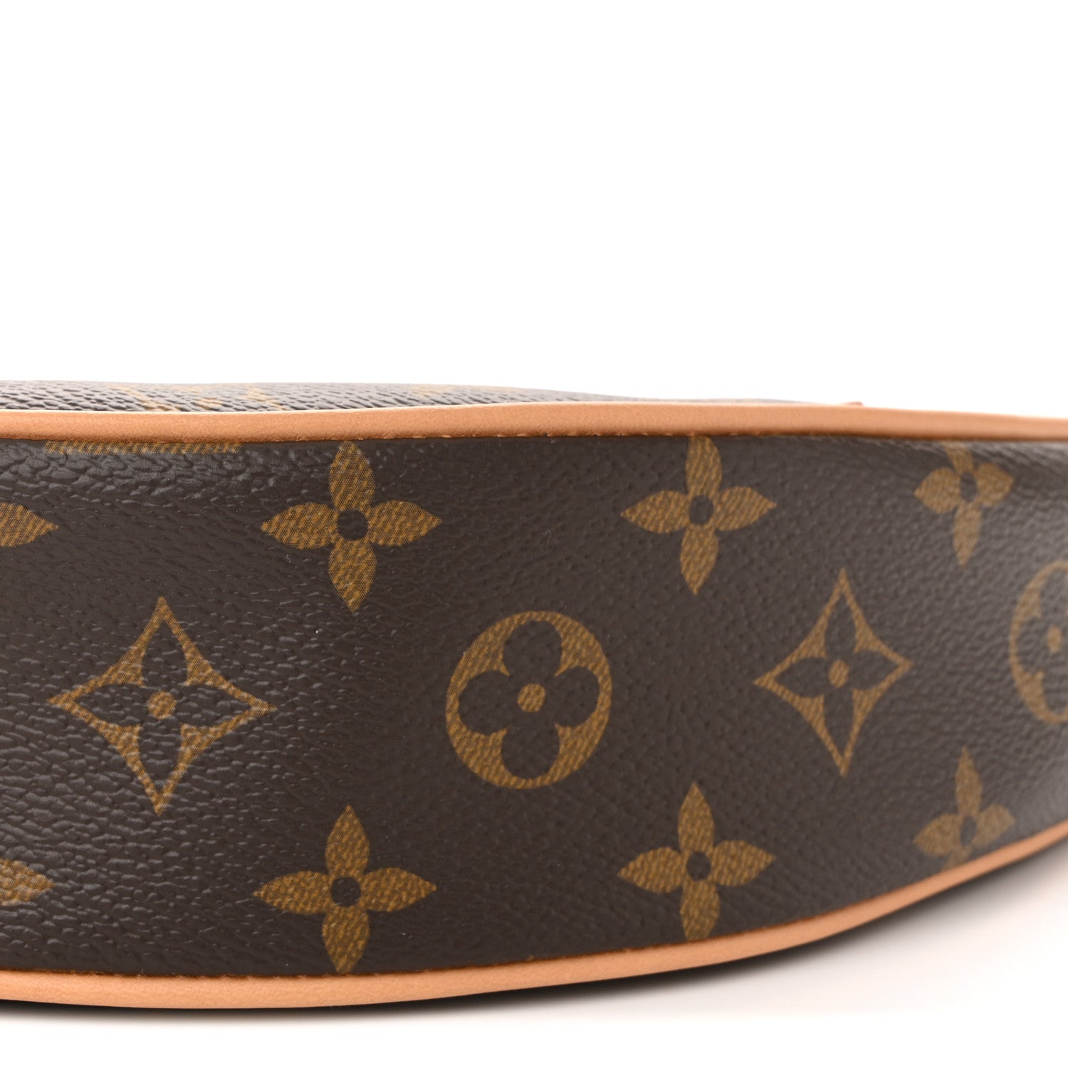 Louis Vuitton Monogram Loop 9 of 10