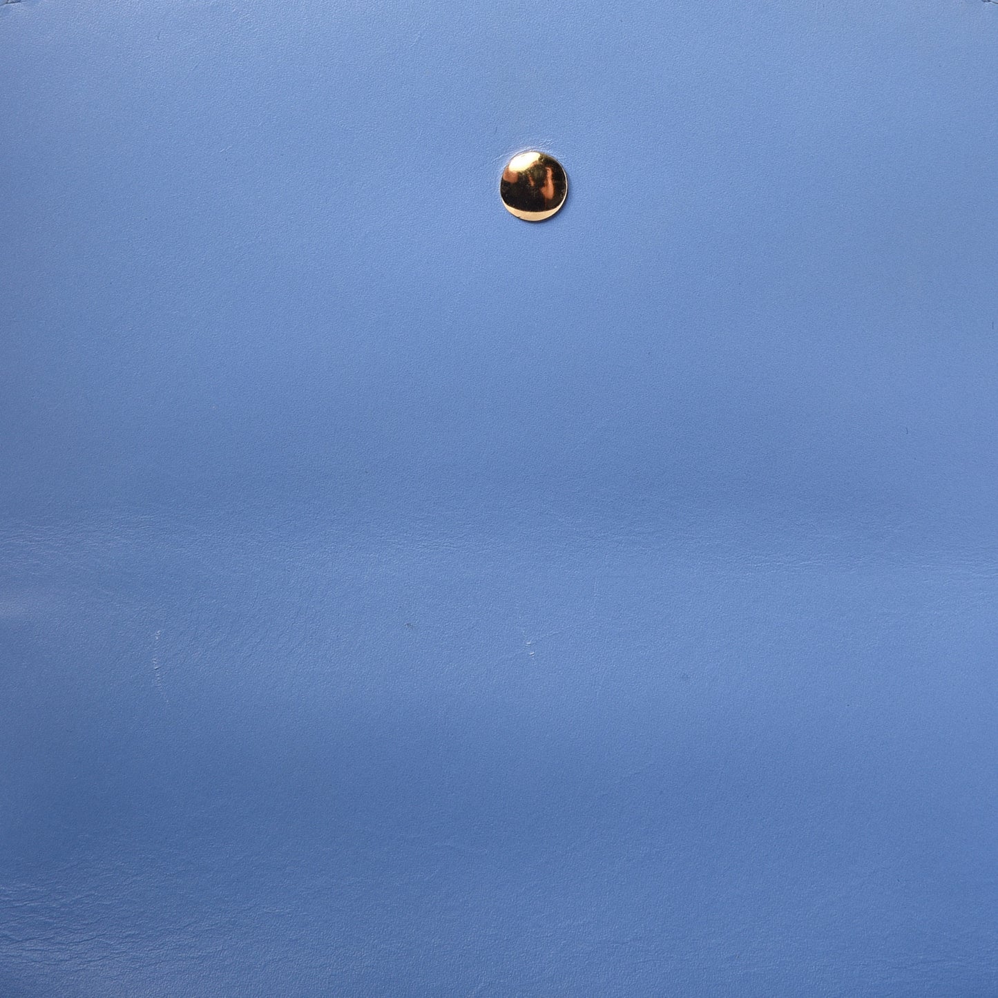 Calfskin Mini Sylvie Chain Shoulder Bag Clear Sky Blue