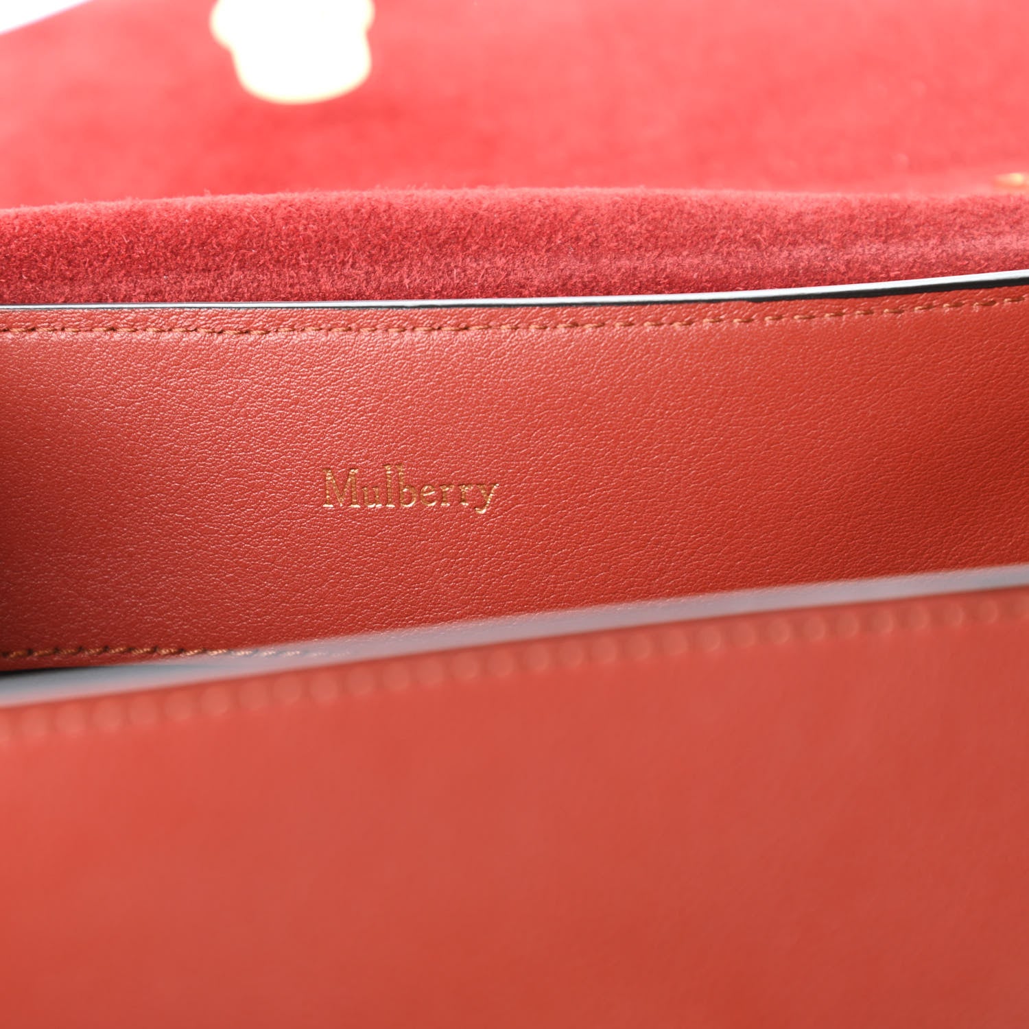 Mulberry Silky Calfskin Small Seaton Rust 8 of 9