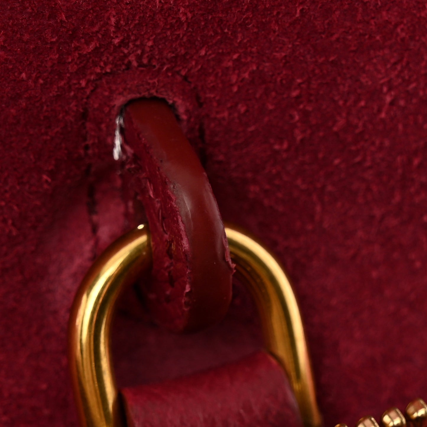 Grained Calfskin Nano Belt Bag Acai