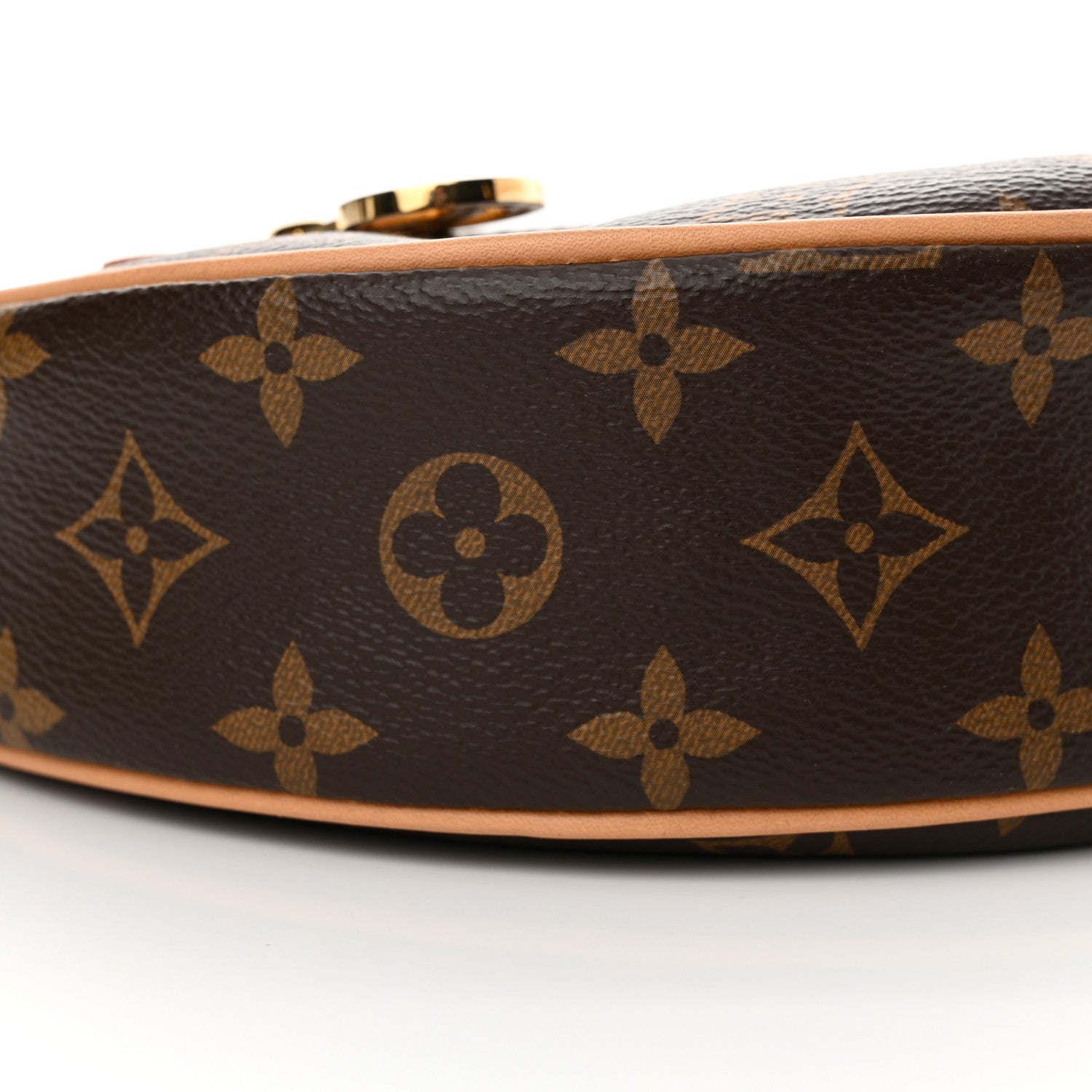 Louis Vuitton Monogram Loop 8 of 9