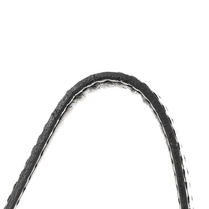 Louis Vuitton Epi Saint Cloud PM Black 15 of 16