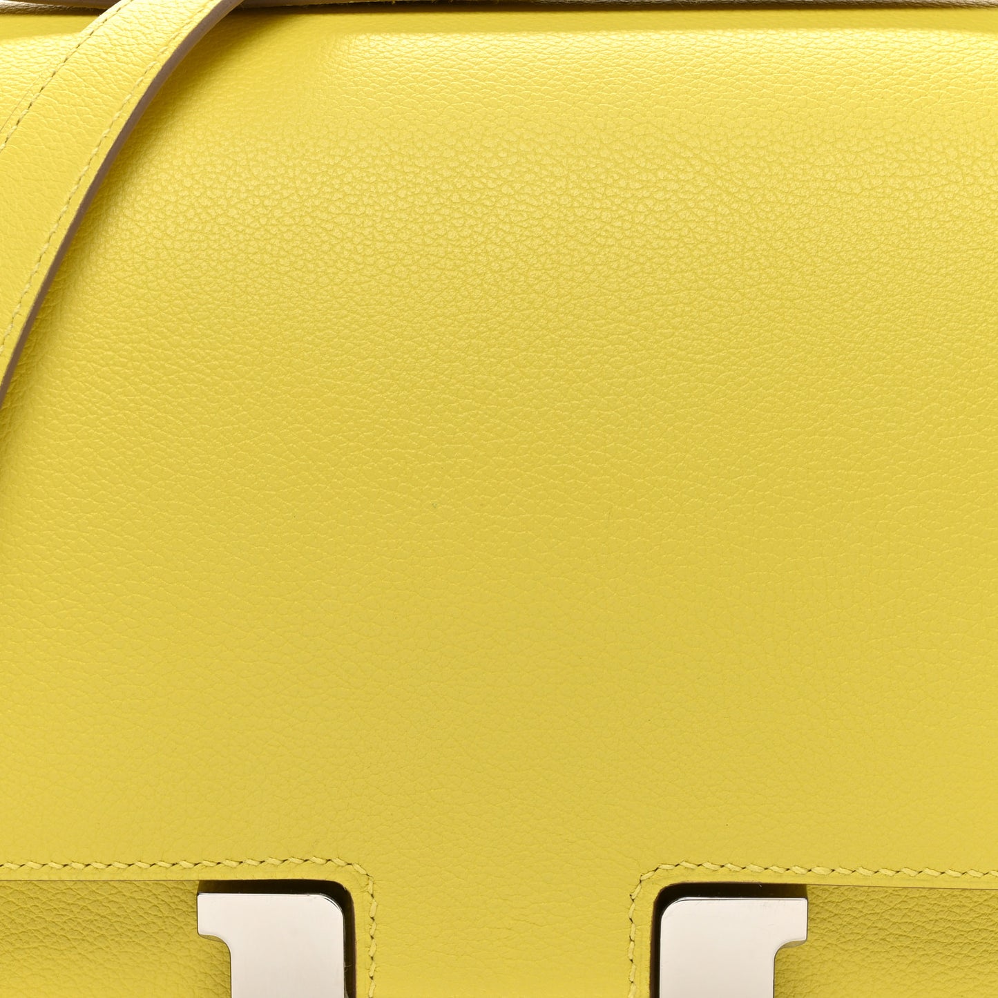 Evercolor Constance 24 Lime