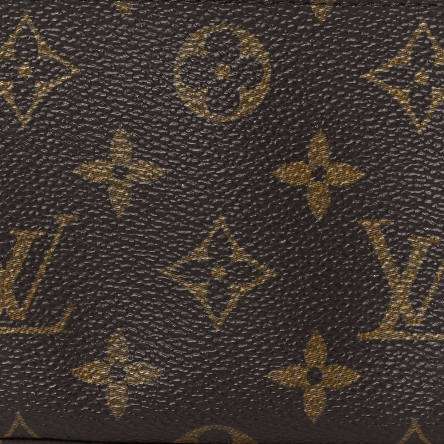 Monogram Mini Pochette Accessories