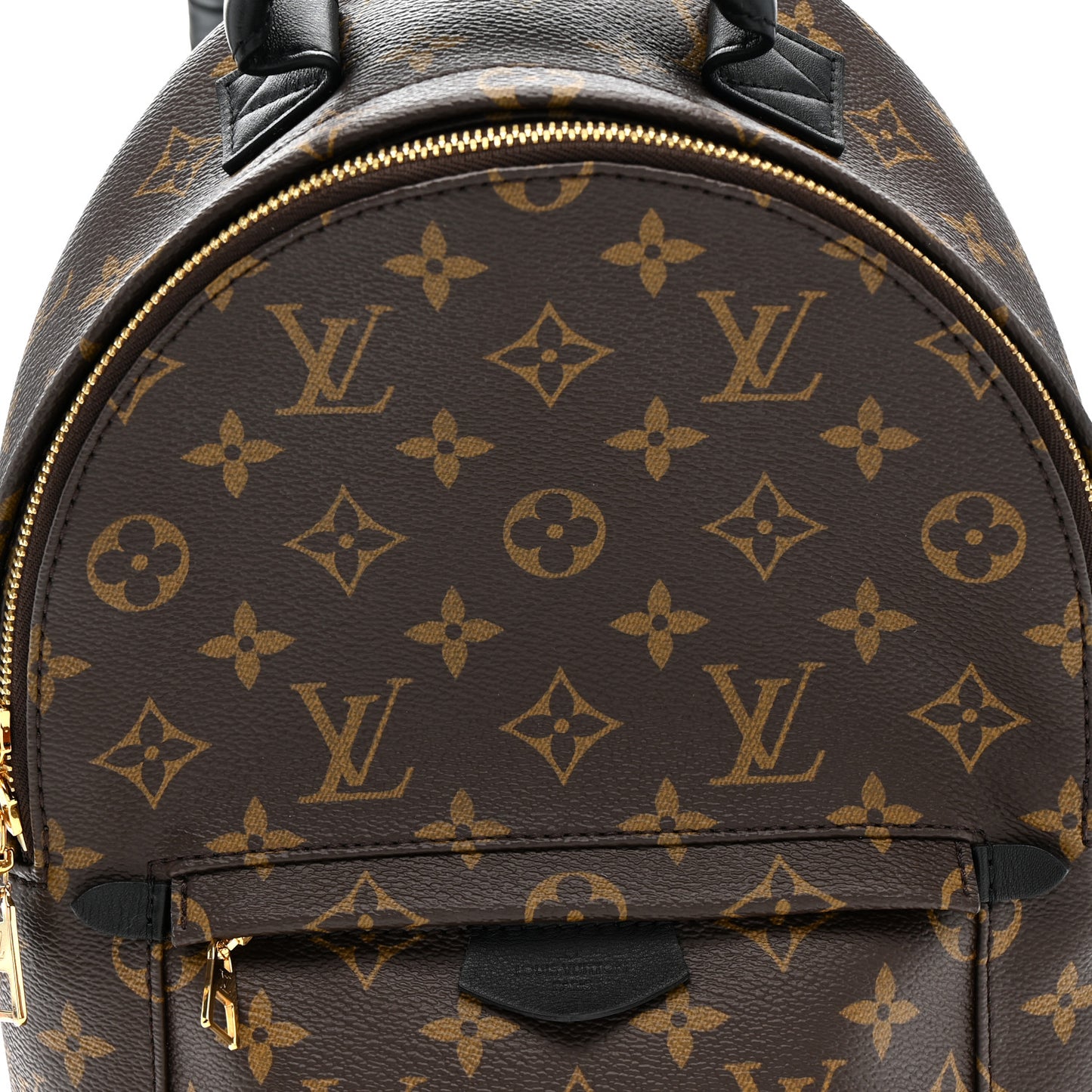 Monogram Palm Springs Backpack PM