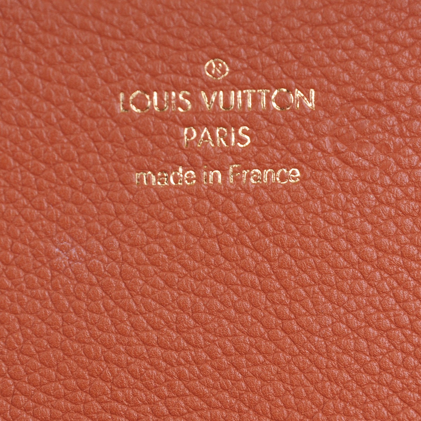 Monogram Eden PM Camel
