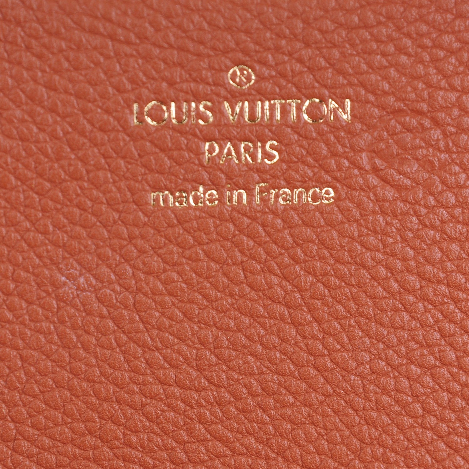 Louis Vuitton Monogram Eden PM Camel 6 of 7