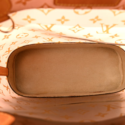 Louis Vuitton Vinyl Cabas Ambre PM 5 of 9