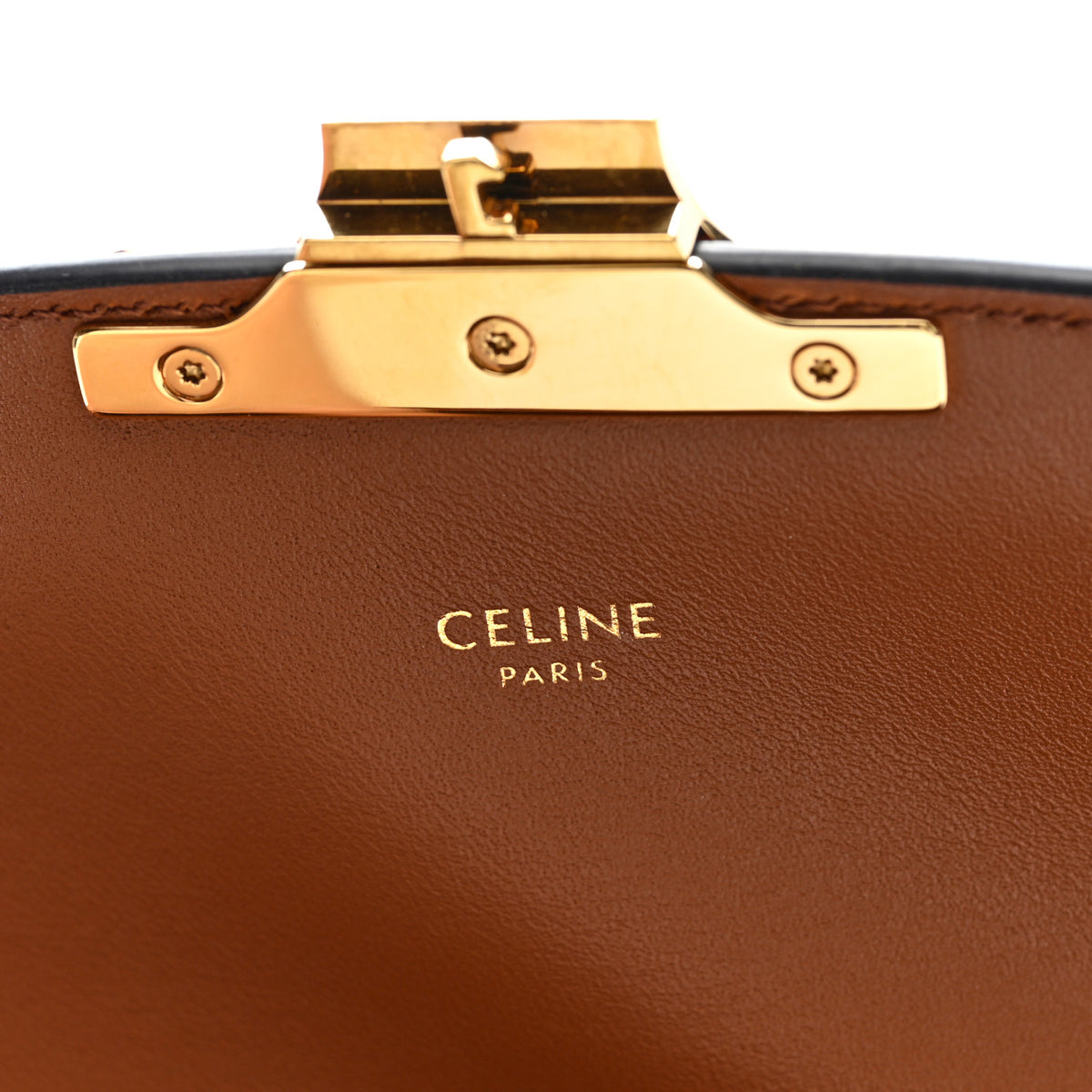 Calfskin Triomphe Canvas Teen Triomphe Bag Tan