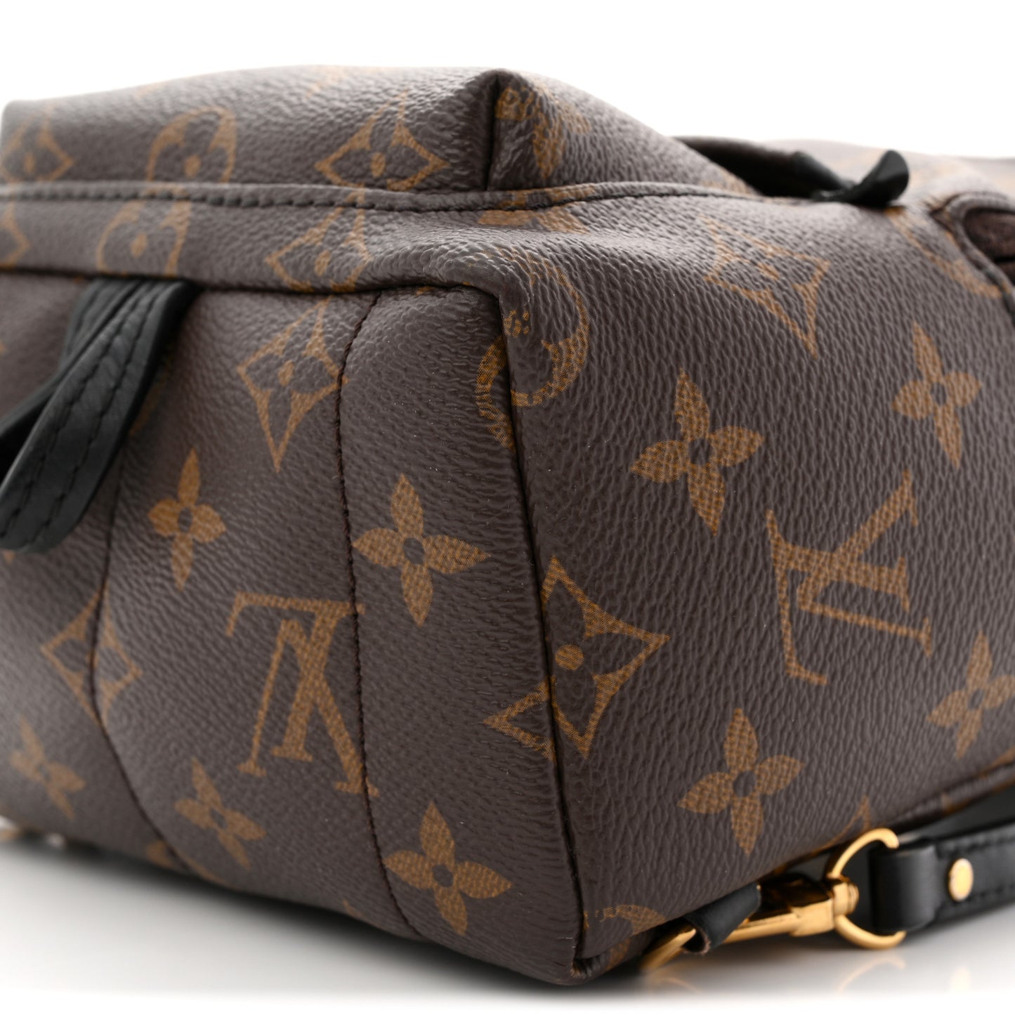 Monogram Palm Springs Backpack Mini