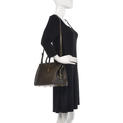 Saint Laurent Calfskin Small Classic Y Cabas Mousse 3 of 13